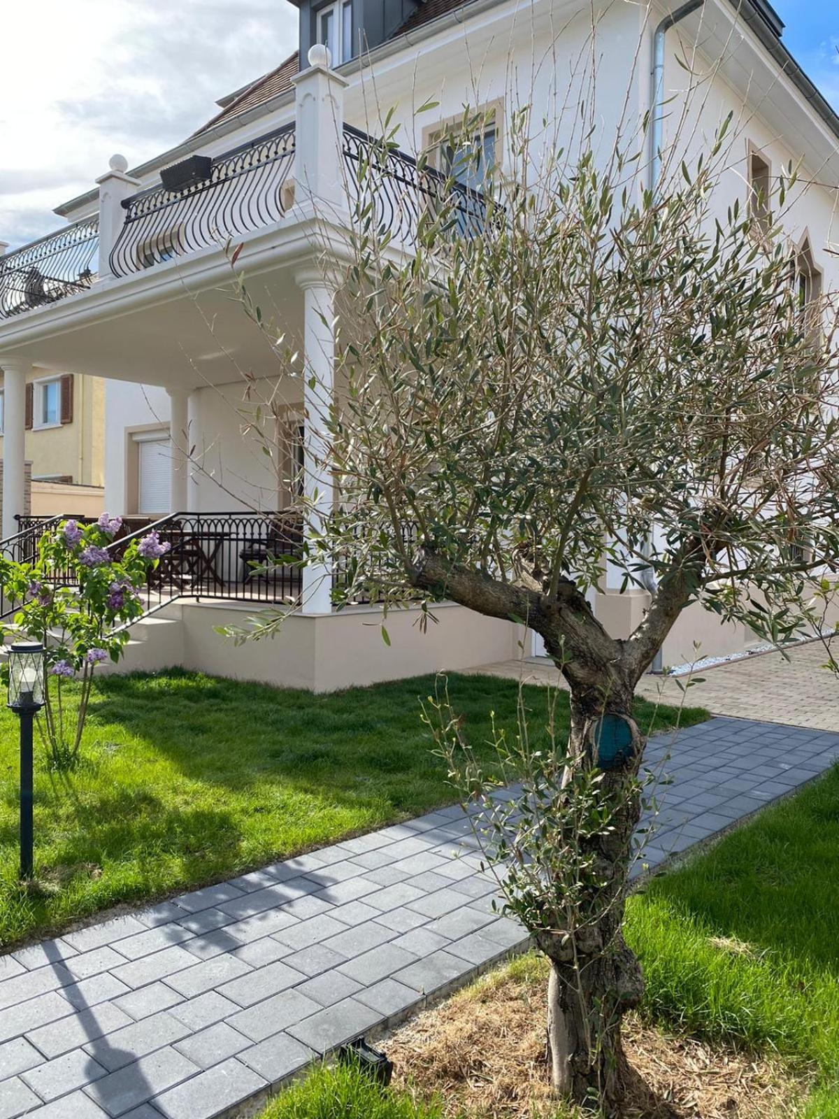סינגן Primera Villa מראה חיצוני תמונה